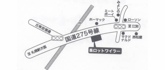 ロットワイラー札幌