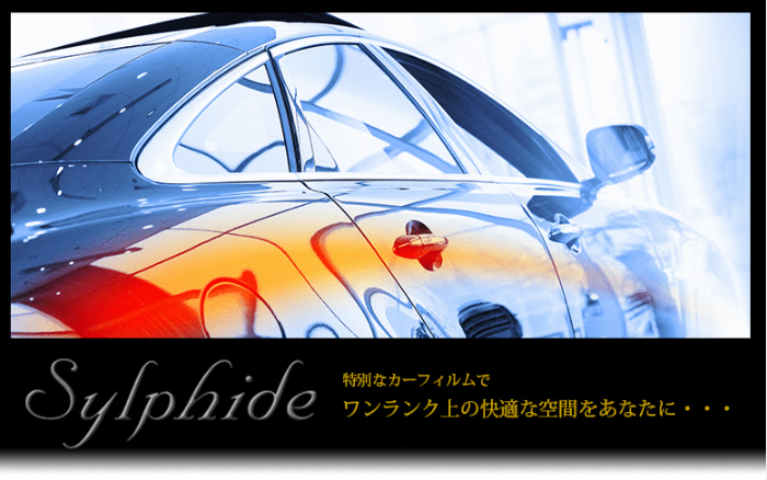 カーフィルムスモーク札幌ロットワイラー